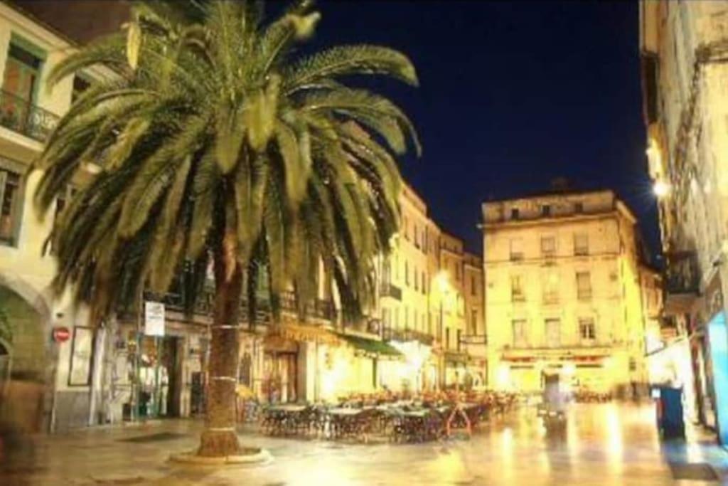 Studio 23M2 Moderne Hypercentre - Arenes A 2 Min Nîmes Dış mekan fotoğraf